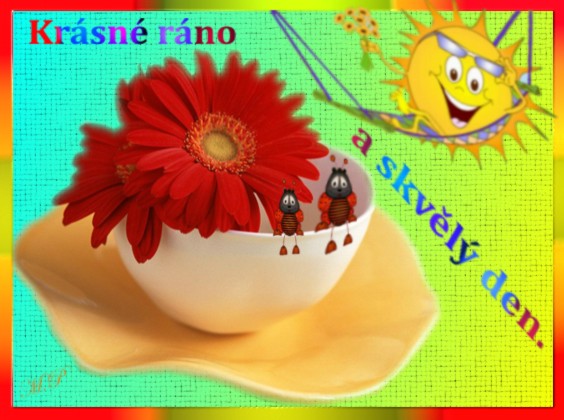 Pro radost