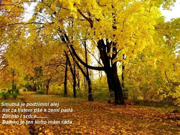 alej