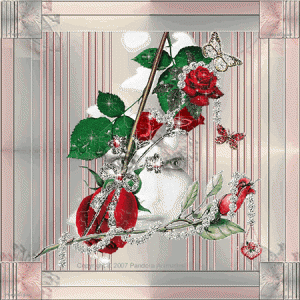 RoseGardenA